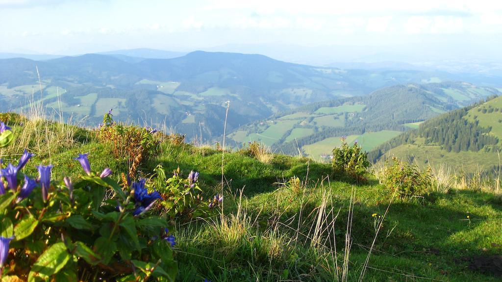 Gasthof Unterberger Sankt Kathrein am Offenegg Buitenkant foto