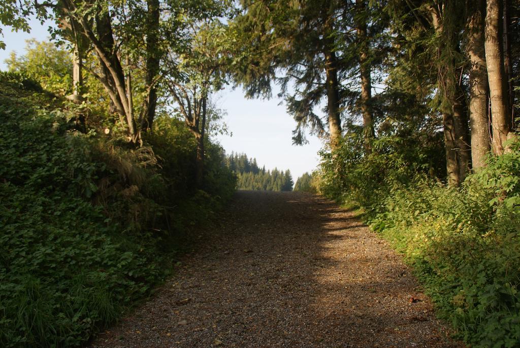 Gasthof Unterberger Sankt Kathrein am Offenegg Buitenkant foto